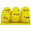 6PC YELLOW CHICKS