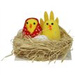 CHICKS IN BASKET