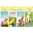 4PK PHOTOGRAPHIC EASTER MONEY WALLETS 12S