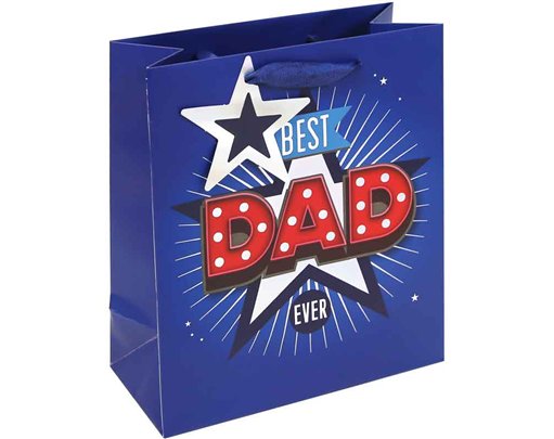 BEST DAD EVER MEDIUM GIFT BAG 12S