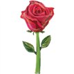 72in FRESH PICKS SATIN ROSE FOIL BALLOON