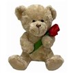 25cm VALENTINES BEAR WITH ROSE