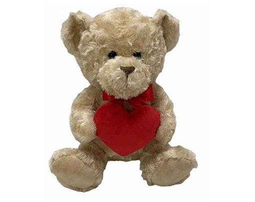 25cm VALENTINES BEAR WITH HEART