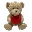 25cm VALENTINES BEAR WITH HEART