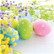20PK HAPPY EASTER WISHES NAPKINS