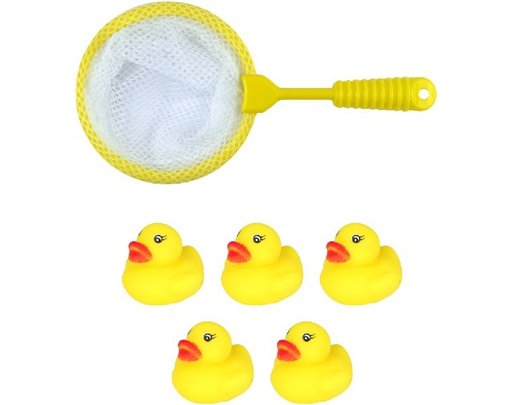 6PC DUCKS AND NET