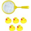 6PC DUCKS AND NET