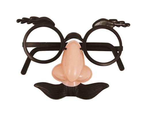 DISGUISE SET