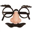 DISGUISE SET