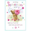 C75 OPEN MOTHER'S DAY 6S