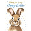 C35 OPEN EASTER 10S