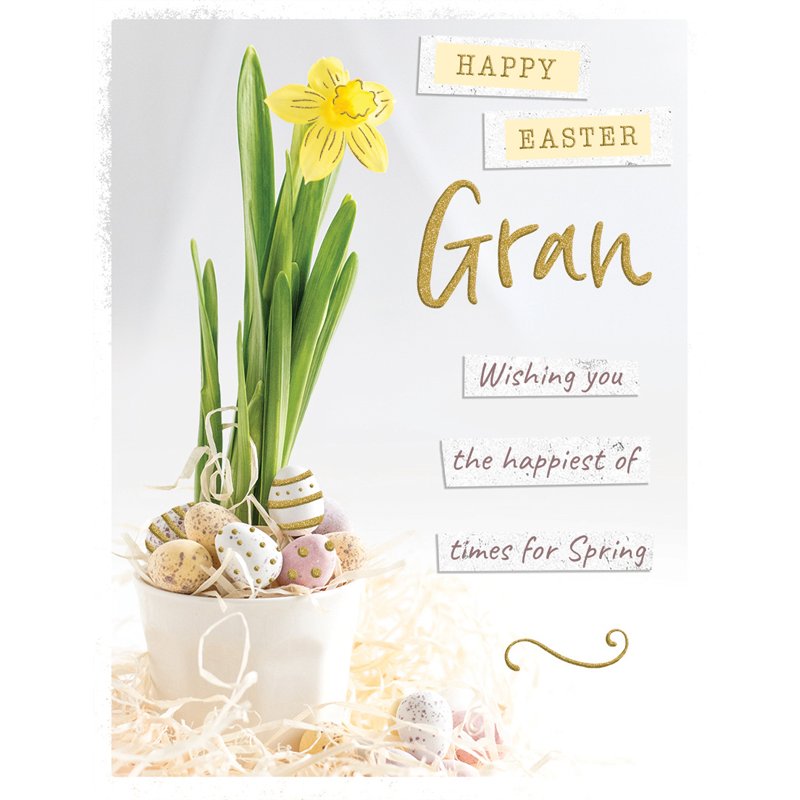 C50 GRAN EASTER 6S