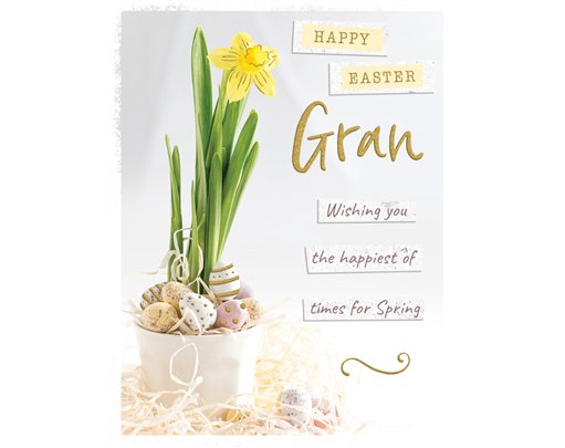 C50 GRAN EASTER 6S