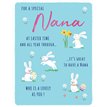 C50 NANA EASTER 6S
