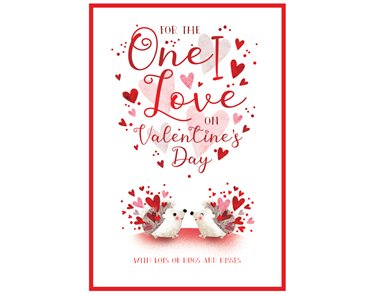 C50 ONE I LOVE VALENTINE'S KINGFISHER 6S