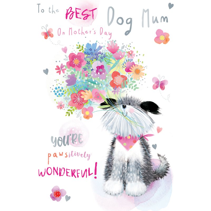 C50 DOG MUM MOTHER'S DAY KINGFISHER 6S