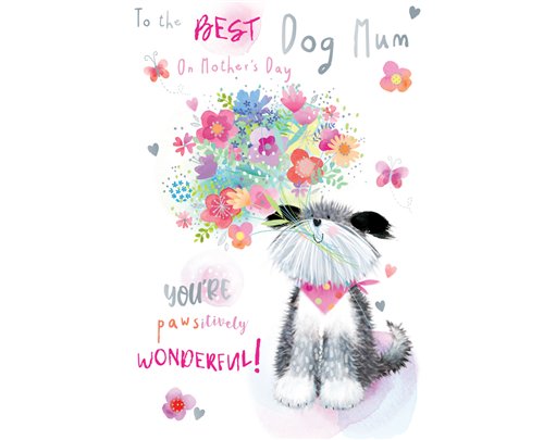 C50 DOG MUM MOTHER'S DAY KINGFISHER 6S