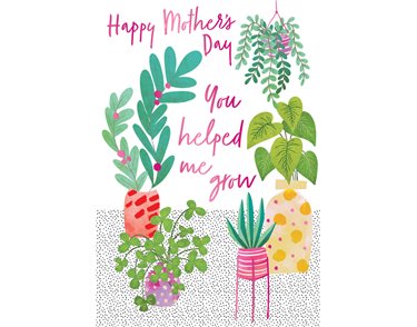 C50 OPEN MOTHER'S DAY KINGFISHER 6S