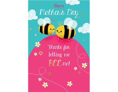 C75 OPEN MOTHER'S DAY KINGFISHER 6S