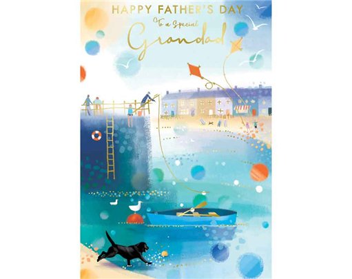 C50 GRANDAD FATHER'S DAY KINGFISHER 6S