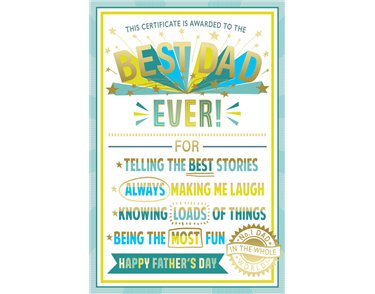 C75 DAD FATHER'S DAY KINGFISHER 6S