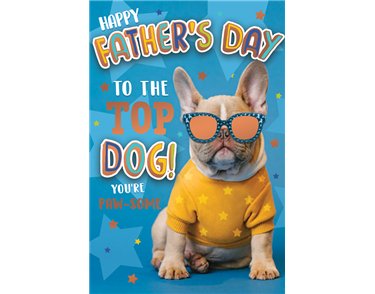 C75 OPEN FATHER'S DAY KINGFISHER 6S