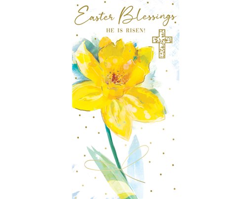 C30 OPEN RELIGIOUS EASTER KINGFISHER 6S