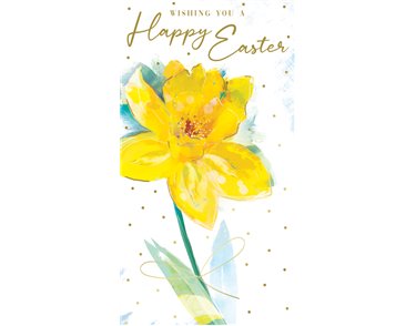 C30 OPEN EASTER KINGFISHER 6S