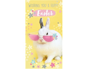 C30 OPEN EASTER KINGFISHER 6S