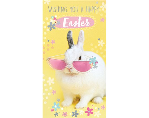 C30 OPEN EASTER KINGFISHER 6S