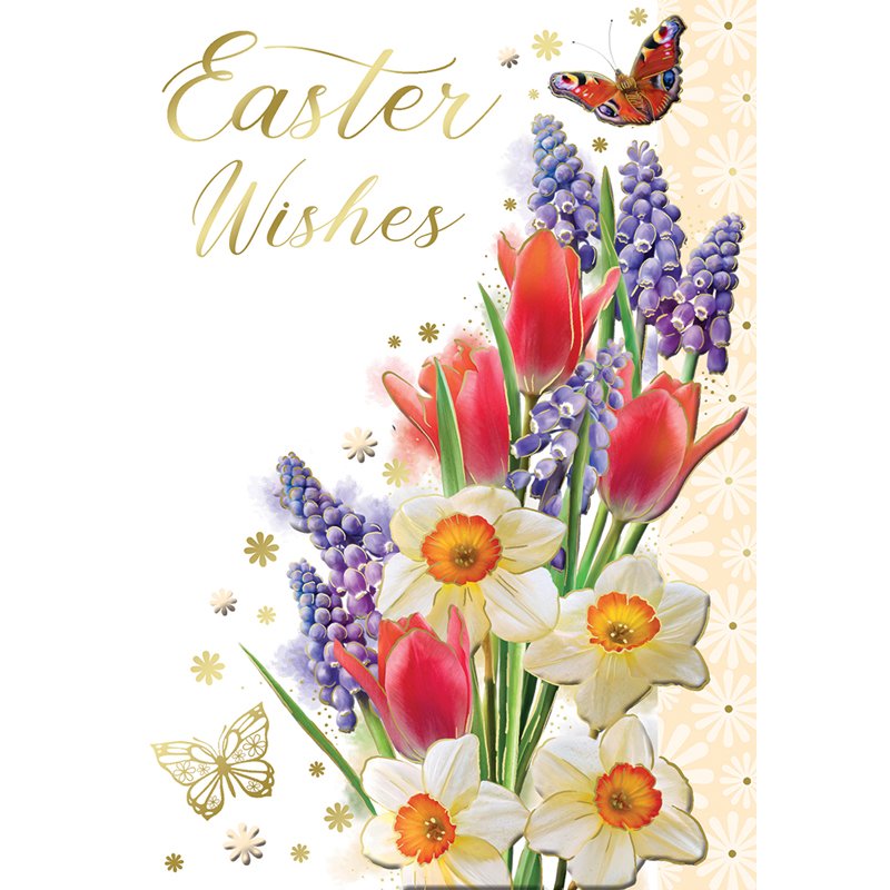 C50 OPEN TRAD EASTER XPRESS YOURSELF 6S