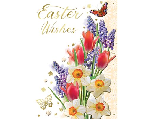 C50 OPEN TRAD EASTER XPRESS YOURSELF 6S