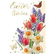 C50 OPEN TRAD EASTER XPRESS YOURSELF 6S