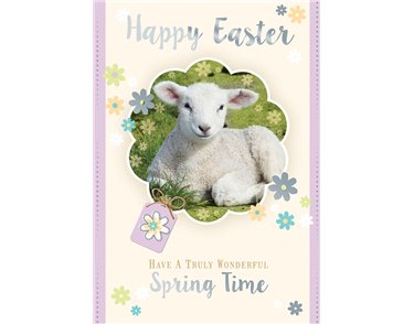 C50 OPEN EASTER SILVERLINE 12S