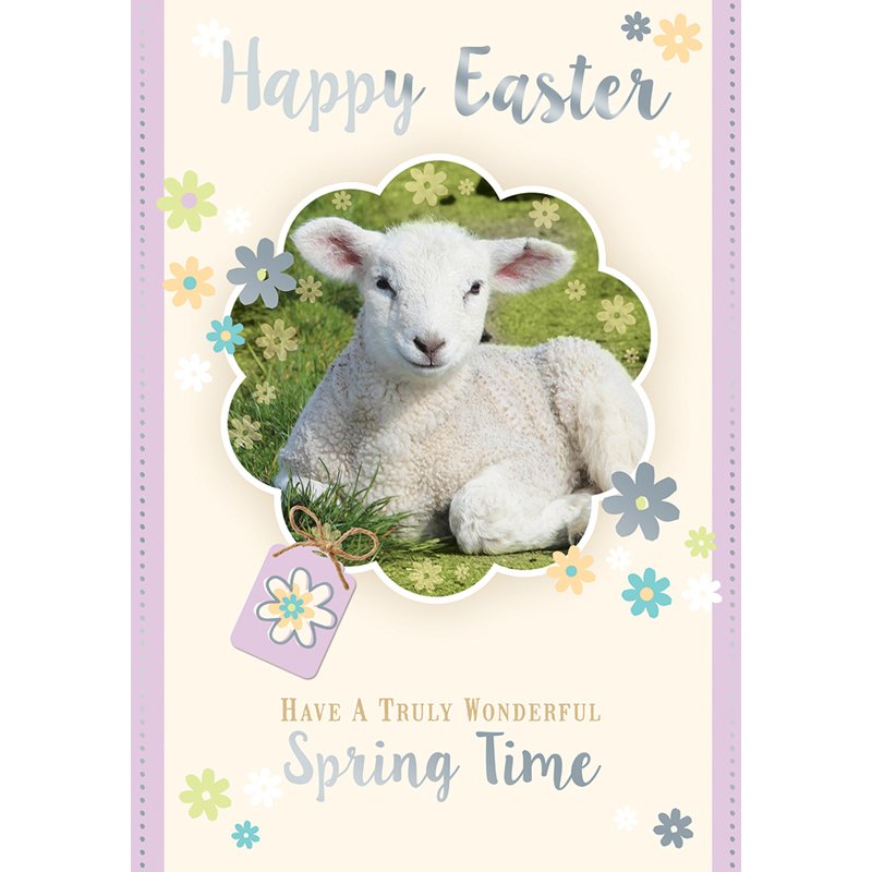 C50 OPEN EASTER SILVERLINE 12S