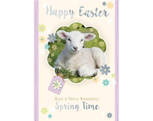 C50 OPEN EASTER SILVERLINE 12S