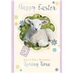 C50 OPEN EASTER SILVERLINE 12S