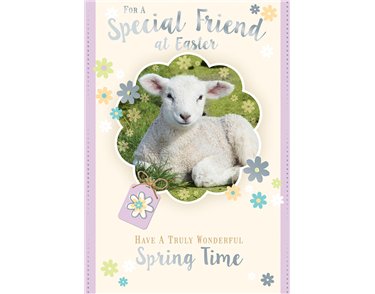 C50 SPECIAL FRIEND EASTER SILVERLINE 12S