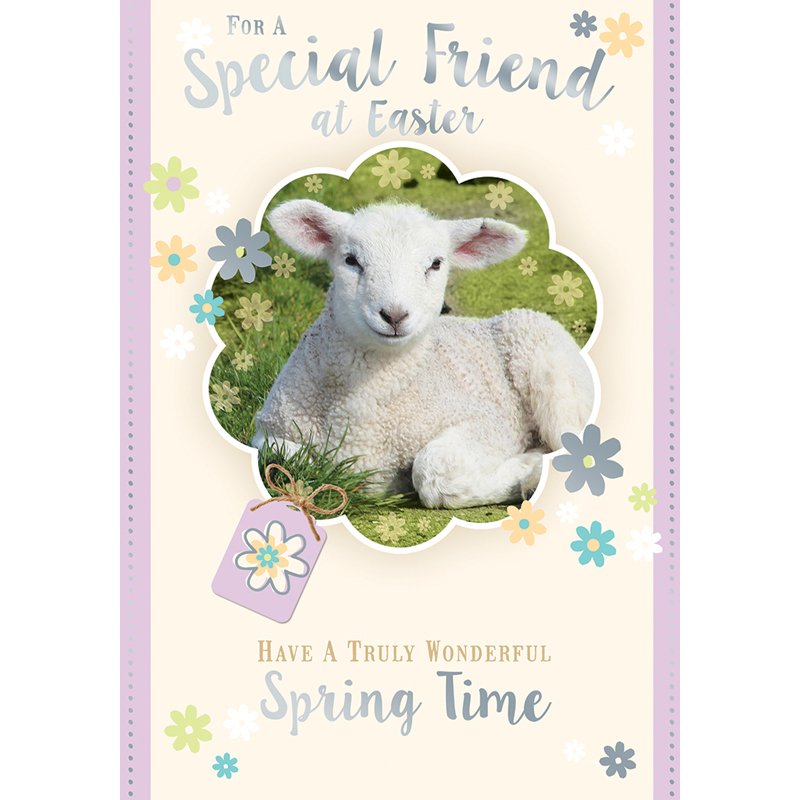 C50 SPECIAL FRIEND EASTER SILVERLINE 12S