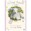 C50 SPECIAL FRIEND EASTER SILVERLINE 12S