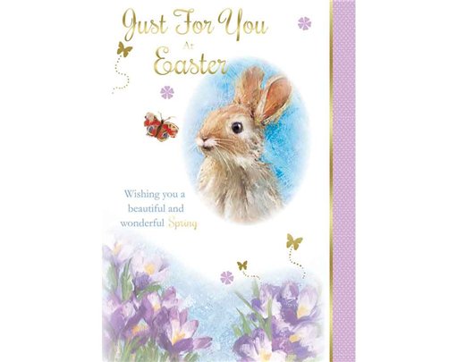 C50 OPEN EASTER SILVERLINE 12S