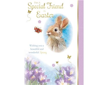C50 SPECIAL FRIEND EASTER SILVERLINE 12S