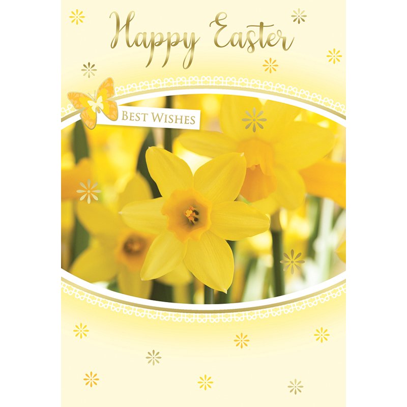 C50 OPEN EASTER SILVERLINE 12S