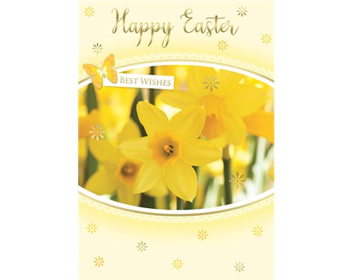 C50 OPEN EASTER SILVERLINE 12S