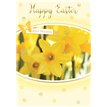 C50 OPEN EASTER SILVERLINE 12S