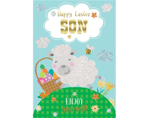 C50 SON EASTER SILVERLINE 12S