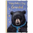 C75-I GRANDAD MALE FATHER'S DAY OOTB 6S