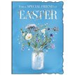 C50 SPECIAL FRIEND NEUTRAL EASTER OOTB 6S