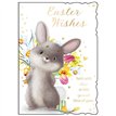 C50 OPEN EASTER FEMALE EASTER OOTB 6S