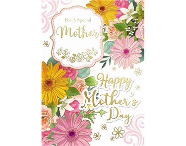 C50 MOTHER FEMALE TRAD MOTHERS DAY 12S